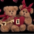 teddy love photography contest